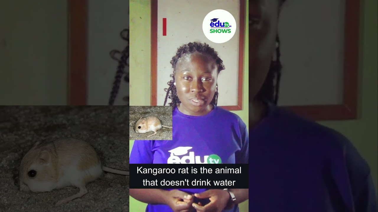 DO YOU KNOW THAT KANGAROO RAT DOES NOT...