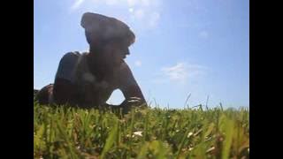 'Hey Dynasty, Don't Forget.' -Audio/Rocketry Fan Video