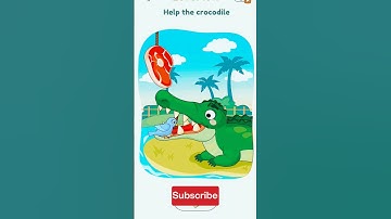 dop 3 level 1017 help the crocodile 🐊