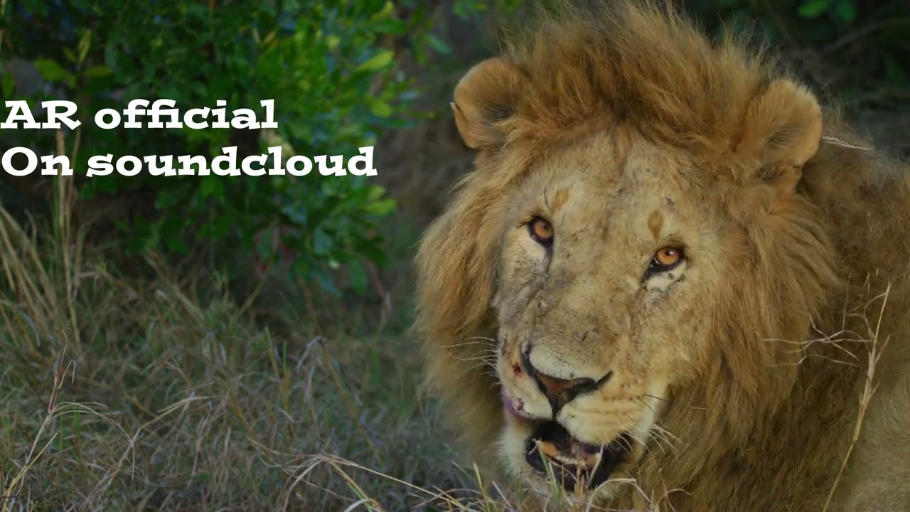 AR Now loading: 7.5% out now!!