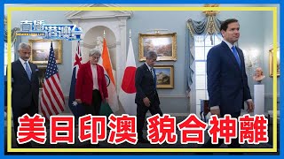 貿易戰下，美日印澳舉行「四方安全對話」，被指貌合神離。分析：美方希望壓榨其他三方，其他三方對美也是試探利用。
