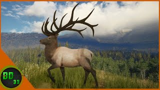 The Rocky Mountains!! Call Of The Wild