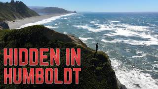 Why Living in BIGFOOT Country on California’s Redwood Coast is Different