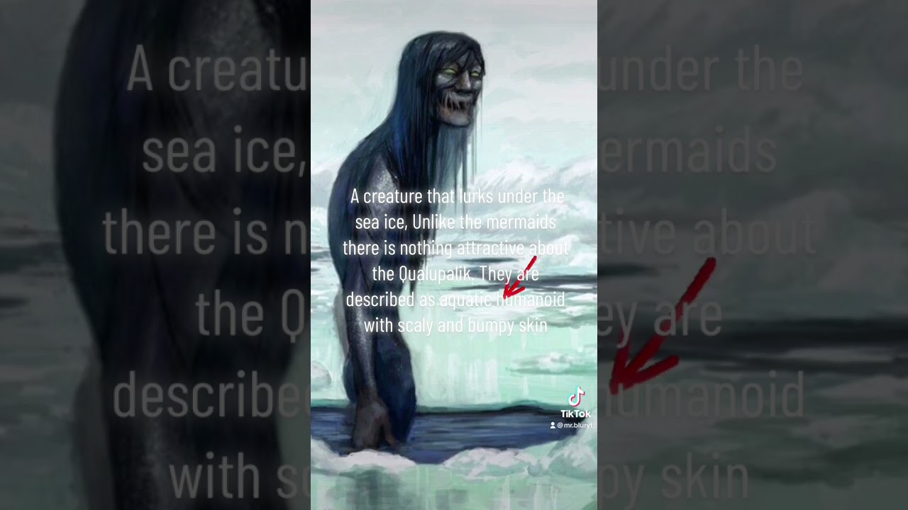 LETS GO TO ALASKA!!! 