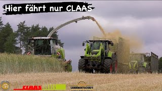 Hier fährt nur CLAAS! 450ha GPS Kampagne häckseln auf dem 1,2km langsam Feld! Hier kommt was runter