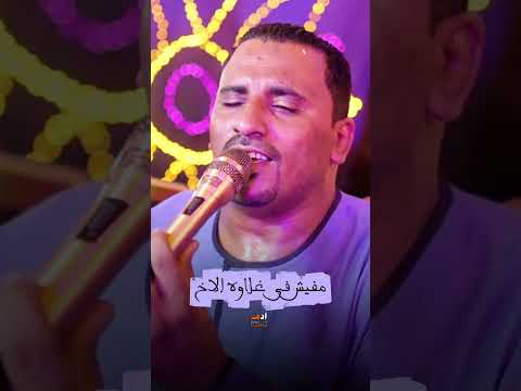 مهما الغريب هيشيل ليه وقت هيقول اه كوكب الصعيد محمود سليم