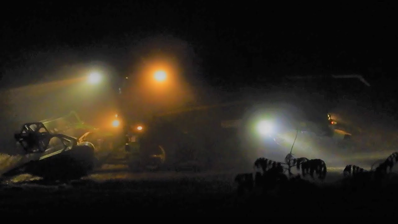 ŽNĚ a srnčí zvěř 2020 - ve dne, v noci / John Deere & Roe deer, crop harvesting daylight, moonlight