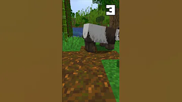 5 фактов про панд в майнкрафт #minecraft #minecraftshorts #майнкрафт #facts #факты #shorts