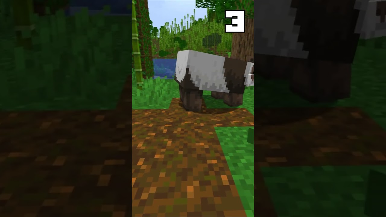 5 фактов про панд в майнкрафт 