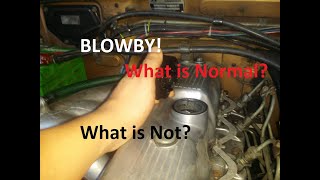 Blowby What is normal and what is not?