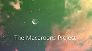 Fly Me To The Moon  The Macarons Project s