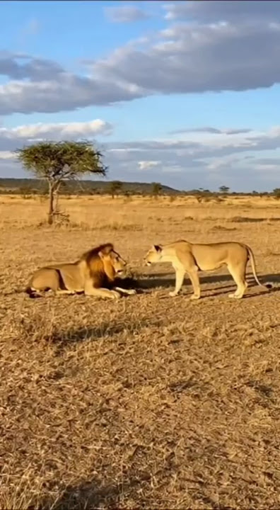 Every King in Front of his Queen