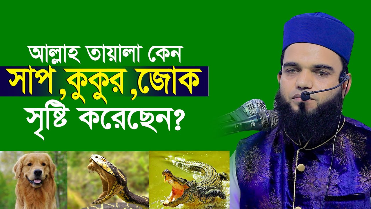 Blagoveshchenskdagi lesbiyan barlari Jinsiy aloqadan oldin ichki kiyim kiyish