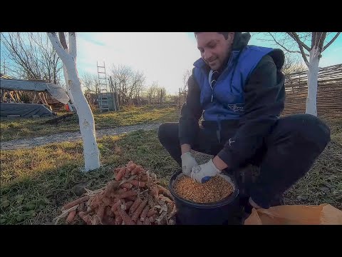 A Day in the Russian Countryside - Lets See What its Like