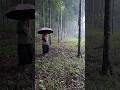 Rain Sounds for Sleep 🌧️ Cozy Forest Hut ASMR #ASMR #SlowLiving #Nature #Peaceful #Relaxation