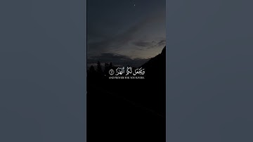 اية ﴿فَقُلتُ استَغفِروا رَبَّكُم إِنَّهُ كانَ غَفّارًا﴾ سورة نوح