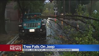 Tree Falls On Jeep In Midtown