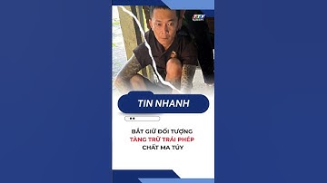 Bắt giữ đối tượng tàng trữ trái phép chất ma túy