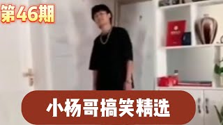 💕小杨哥搞笑精选——第46期 |Crazy Brother Yang Funny Selection46#疯狂小杨哥