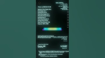 Wave Model of NYC Harbor Buoy made with Blender Python and ChatGPT