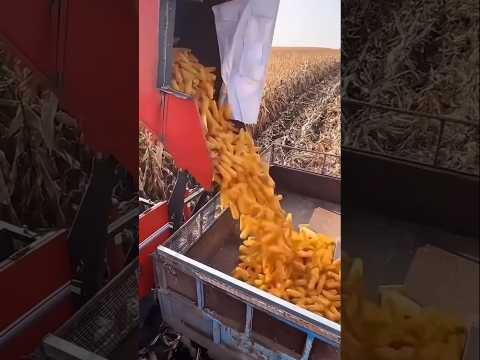 Advanced Corn Harvester