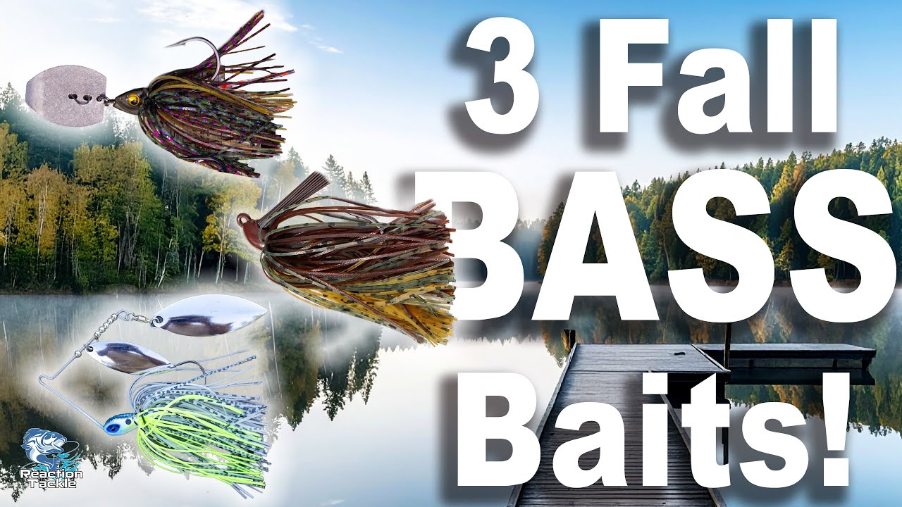 3 Fall Bass Fishing Baits You NEED To Try!