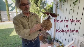 How to Make a Kokedama