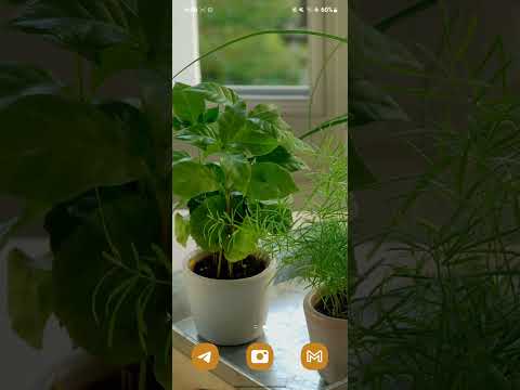 المسلم خلق مفتنا توابا نسيا إذا ذكر ذكر