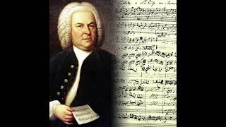 |BAch| Goldberg Variations, BWV. 988 - Variation 20