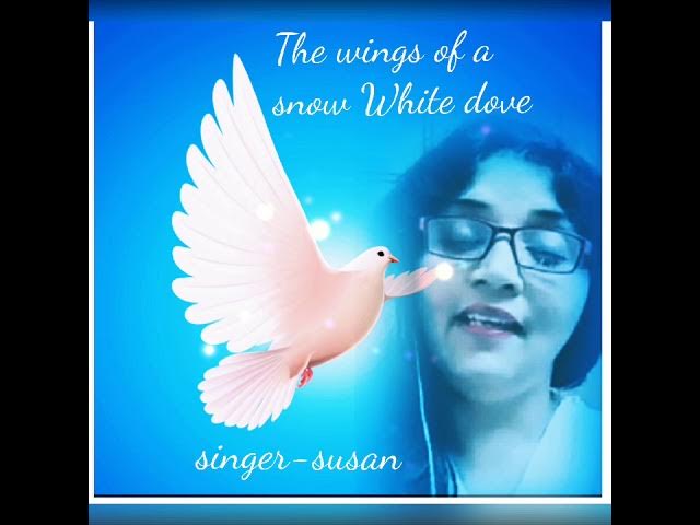 The wings of a snow white dove