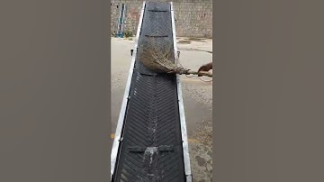 Folding belt conveyor. It is foldable and has wheels in the front and rear to move it.