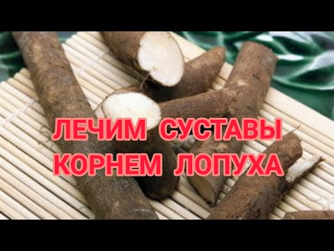 Как лечить суставы корнем лопуха. Настойка из ЛОПУХА. Корни лопуха копал в больнице больше не лежал!