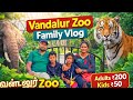 🐘 Real Jungle Feeling! | வண்டலூர் Zoo Family Vlog 🌿🔥 | Tamilnadu #tamilnadupride 