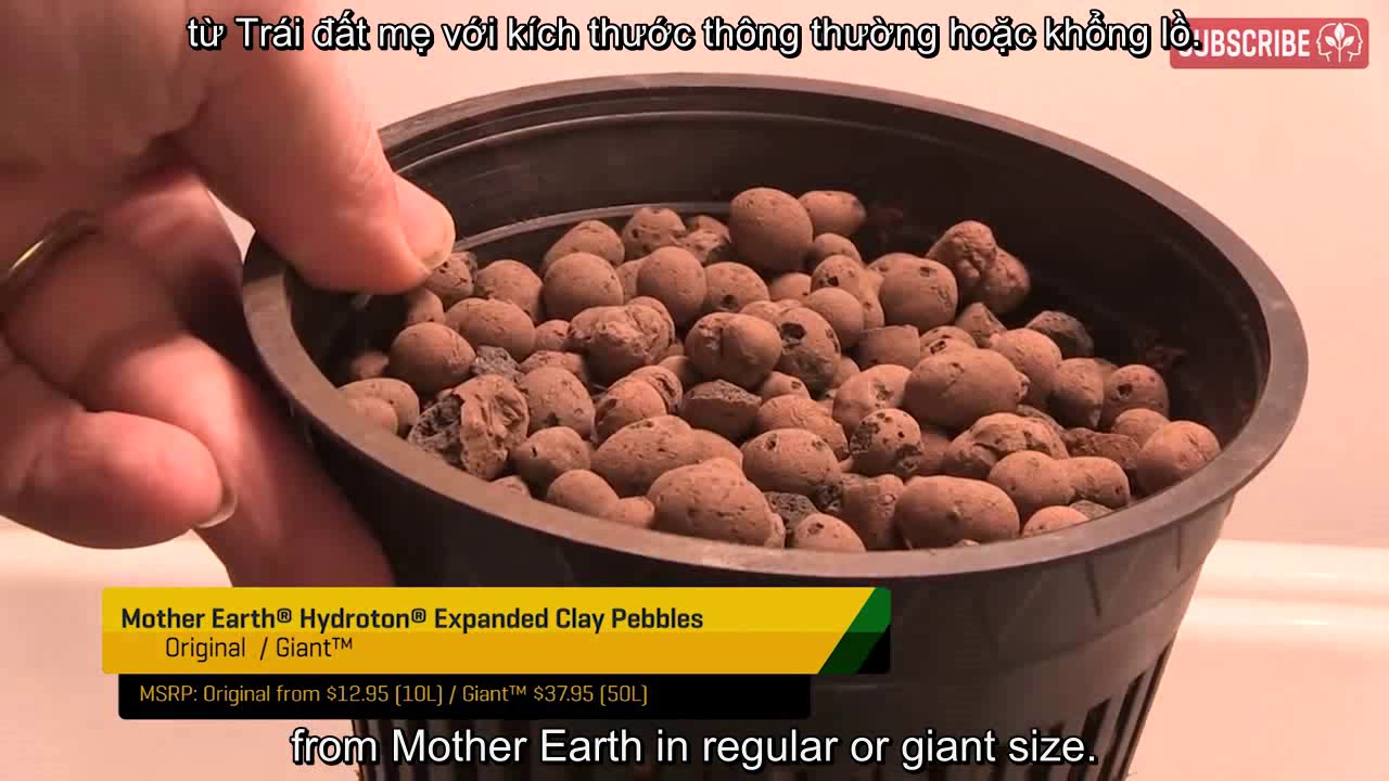 Hydroponics Growing Media 101~ dịch - YouTube