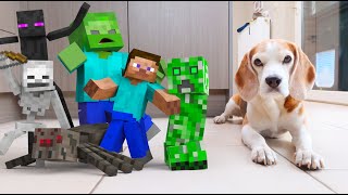 MINECRAFT ZOMBIES IN REAL LIFE ANIMATION by Animations In Real Life 40,671 views 1 year ago 54 seconds