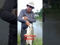 Pesca de machaca en el Río Reventazon