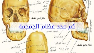 كم عدد عظام الجمجمة