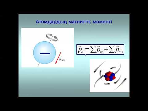 Бейне: Магниттік домендер қалай теңестіріледі?