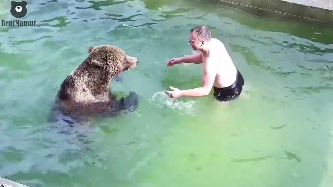 Купание с Мансуром в бассейне сентябрь 2020 - YouTube