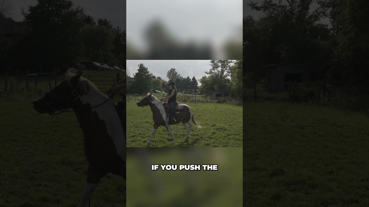 Horse Steering: Leg Pressure vs. Reins Explained