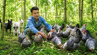 Catching Fancy Rare Chickens in Forest for Breeding & Cooking for Dogs | Nature Therapy screenshot 3
