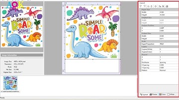 Acrorip  9.03 Tutorial  set up Instruction Settings for l805 / l1800 White Ink  DTF Printer