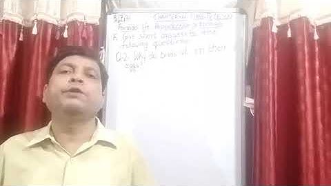 Class IV EVS 08 07 2021 by Mr Rupesh Chapter 4 Animals life Reproduction in animals