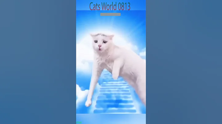 Video 11481361: toilet cat funny