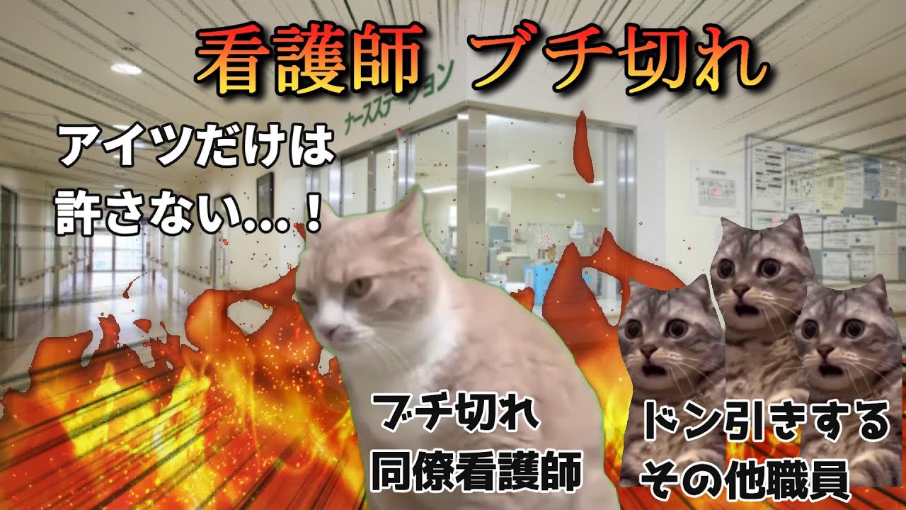 横暴な医者にブチ切れた同僚！彼の起こした行動が思いもよらぬ結果に…【猫ミーム】【猫マニ】