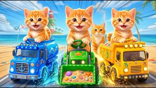 Mama Cat Trims Fur on the Farm and Makes Tiger Hat For Kittens At Home🐾🎩🐯