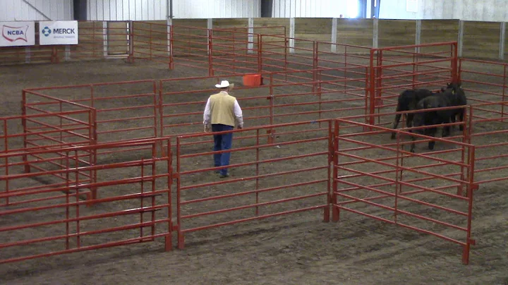 Ron Gill, Facilities, Stockmanship/Ste...  2019