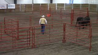 Ron Gill, Facilities, Stockmanship/Stewardship 2019
