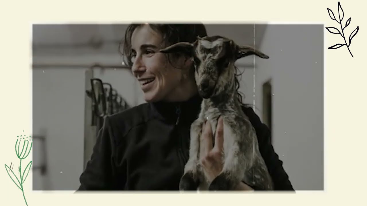 10 años contando GeR