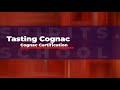 Cognac Certification Tasting: Hennesy VS/XO vs Martell VS/XO